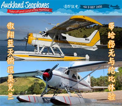 奥克兰海上飞机   Auckland Seaplanes